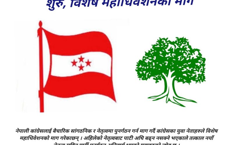 कांग्रेस पुनर्गठनका लागि अभियान शुरू, विशेष महाधिवेशनको माग