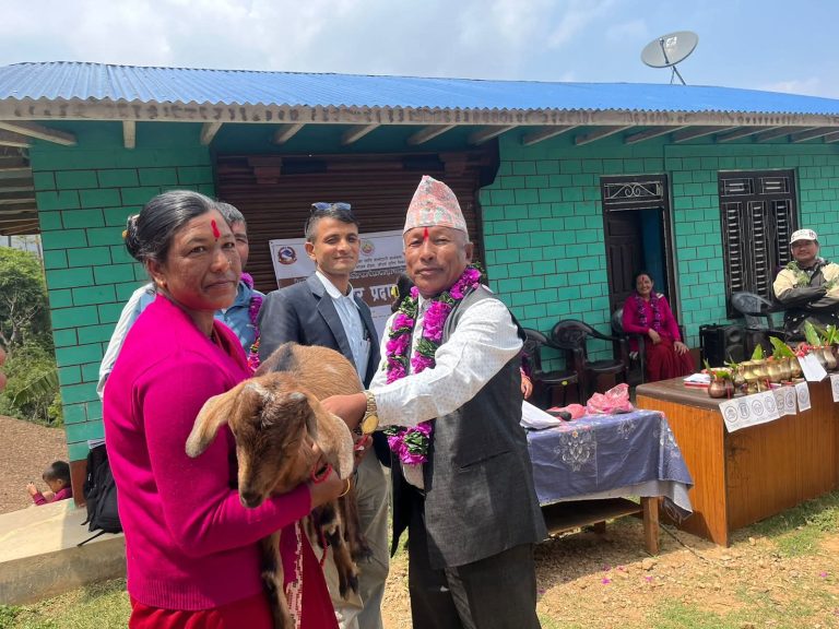 “दिदी” बाट “बहिनी” सम्म : ऐरावतीमा बाख्रासँगै फैलिँदै आत्मनिर्भरताको चक्र