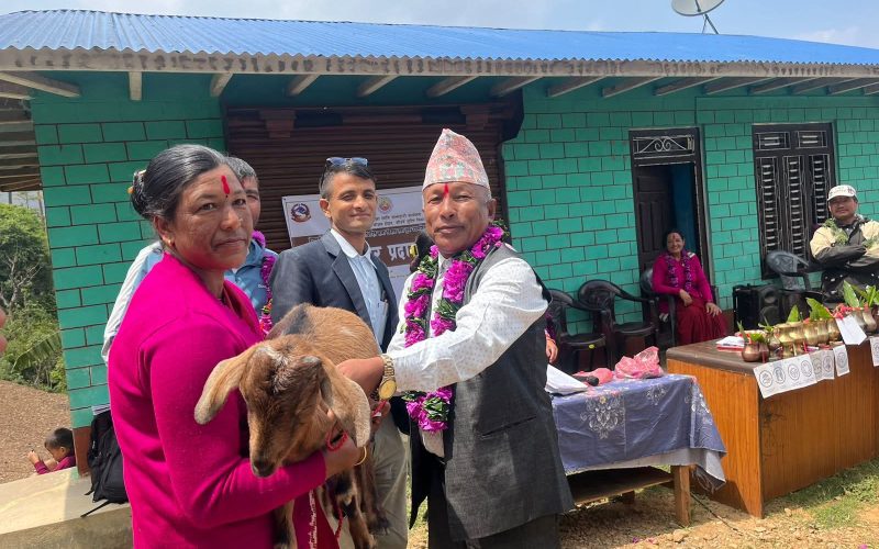 “दिदी” बाट “बहिनी” सम्म : ऐरावतीमा बाख्रासँगै फैलिँदै आत्मनिर्भरताको चक्र