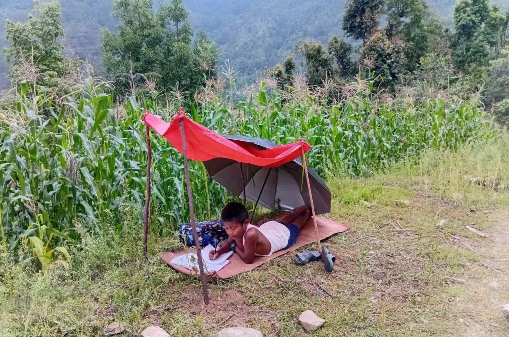पढाइसँगै मकैबारीको पहरा : बाँदर–बदेलको आतंकले बालबालिकाको भविष्यमा प्रश्न, किसान गाउँ छाड्ने क्रम बढ्दो
