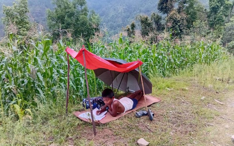 पढाइसँगै मकैबारीको पहरा : बाँदर–बदेलको आतंकले बालबालिकाको भविष्यमा प्रश्न, किसान गाउँ छाड्ने क्रम बढ्दो